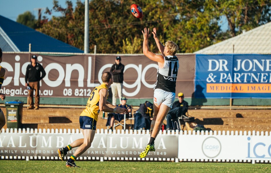 SANFL-fast-facts-R16-main.jpg Port Adelaide's Billy Frampton flies for a mark during the Magpies last encounter with Woodville-West Torrens earlier this season. - Port Adelaide Magpies